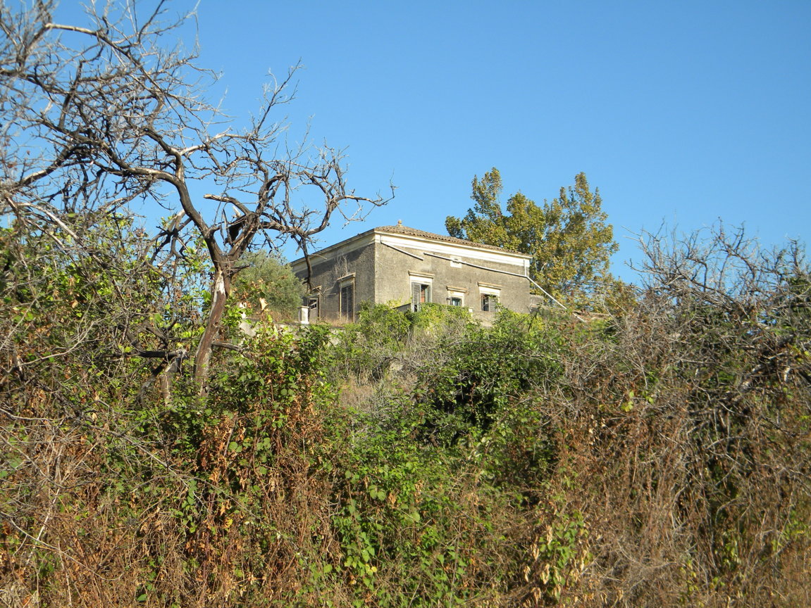 DSCN8111 .JPG